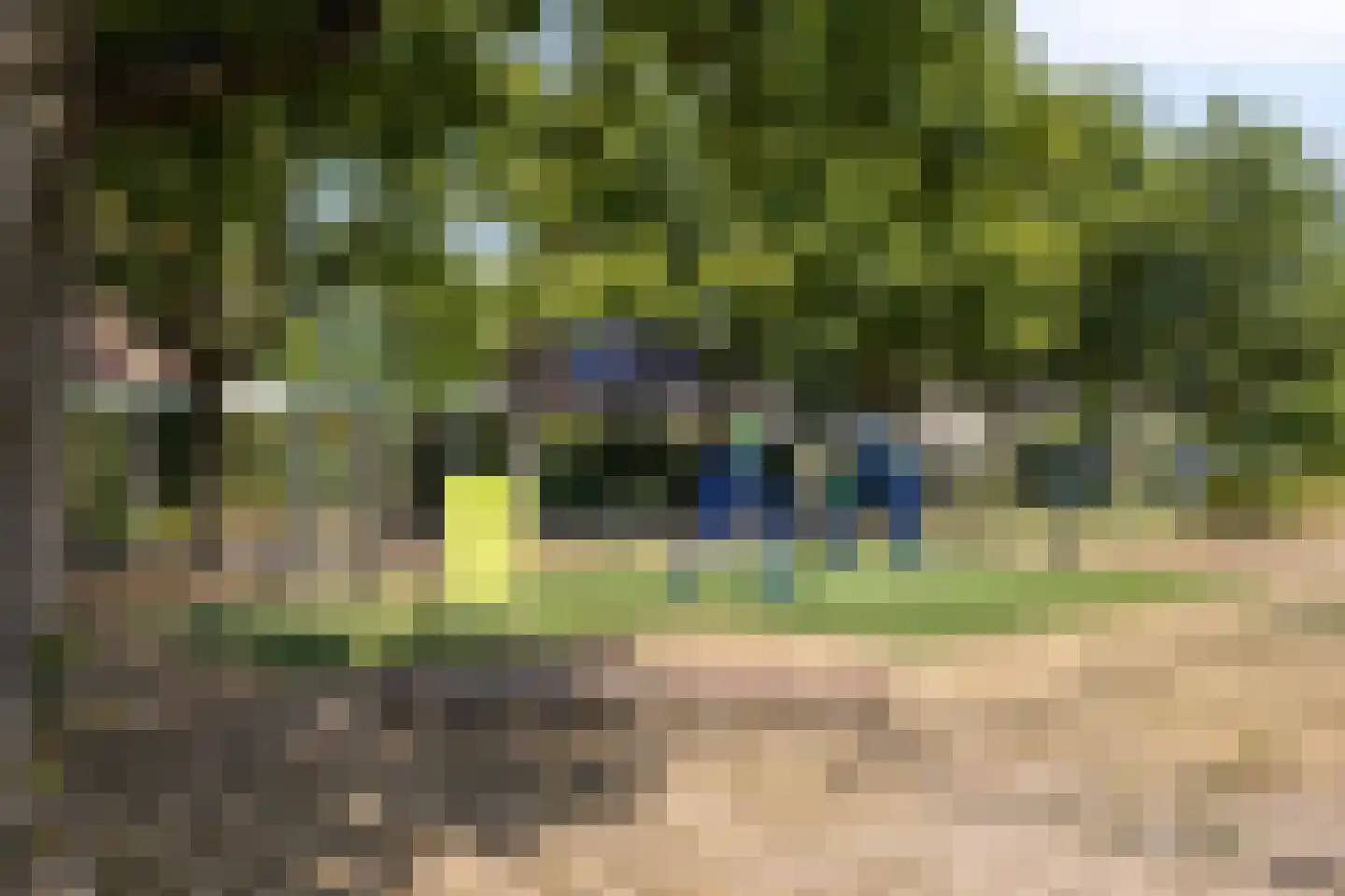 Molenstraat 159 A Oss thumbnail 26