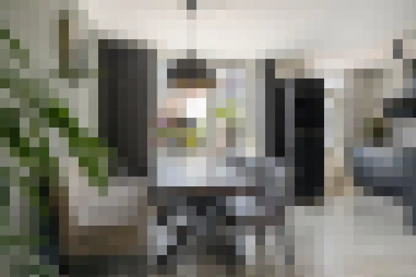 Molenstraat 159 A Oss thumbnail 6