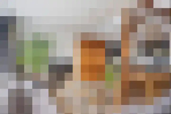 Molenstraat 16 A Helden thumbnail 27