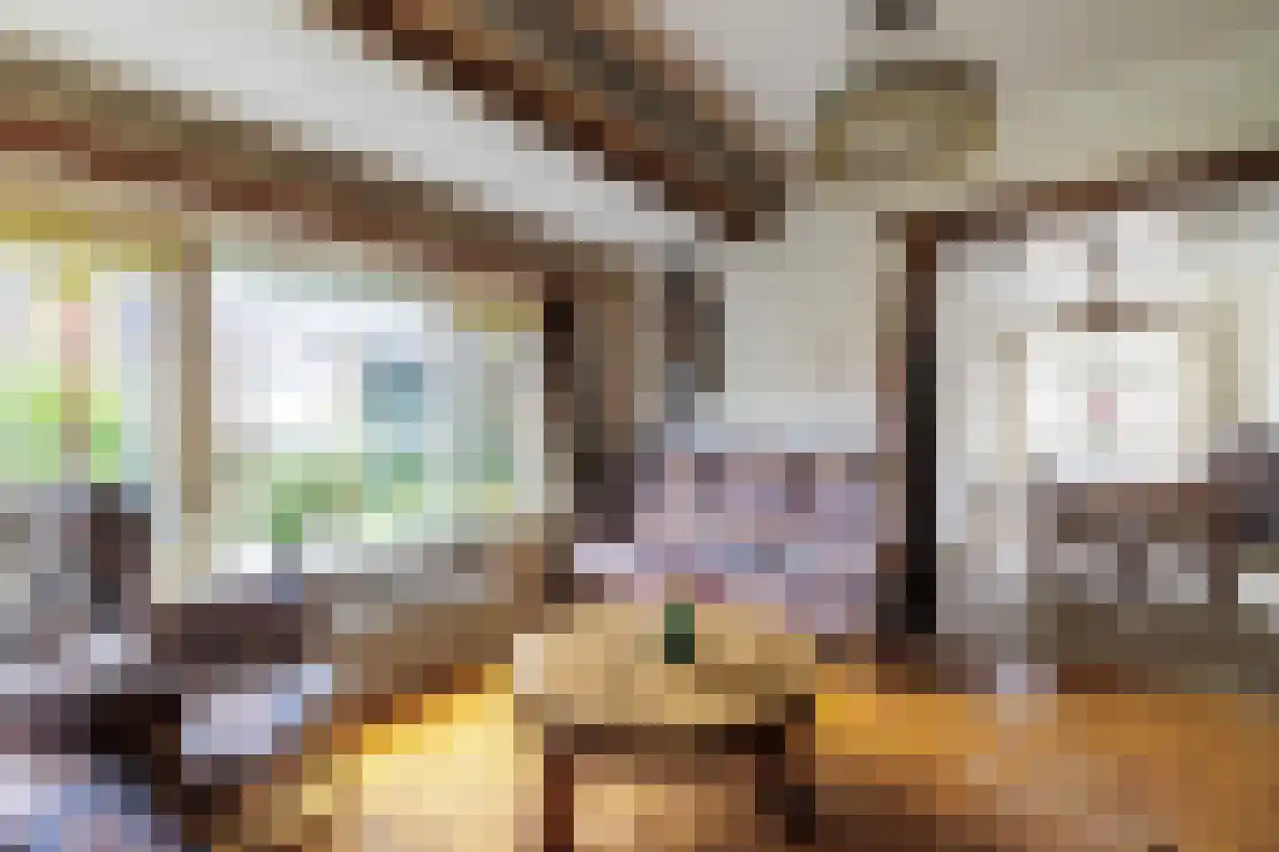 Molenstraat 16 Den Ham thumbnail 12