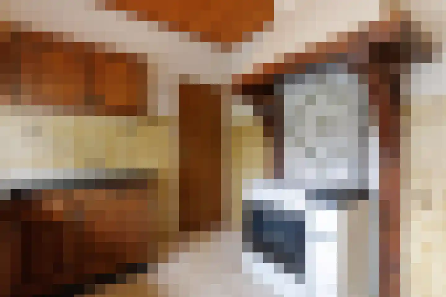 Molenstraat 16 Den Ham thumbnail 20
