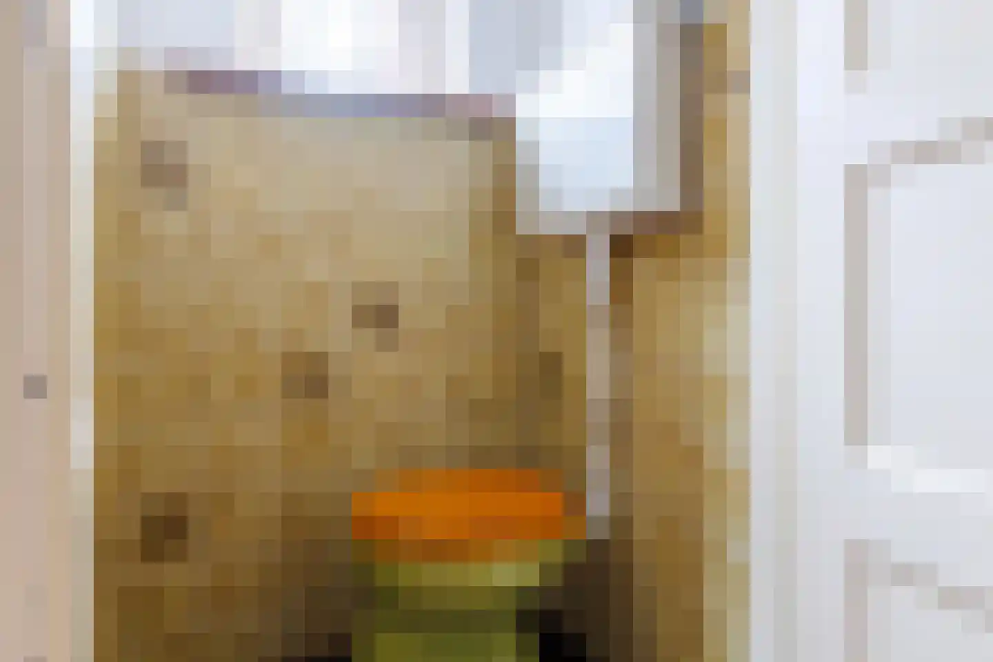 Molenstraat 16 Den Ham thumbnail 28