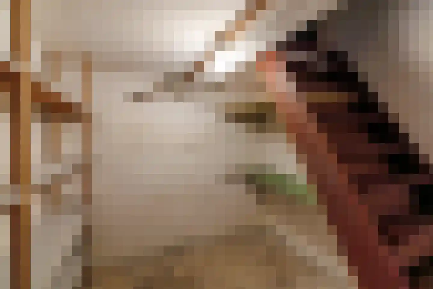 Molenstraat 16 Den Ham thumbnail 29
