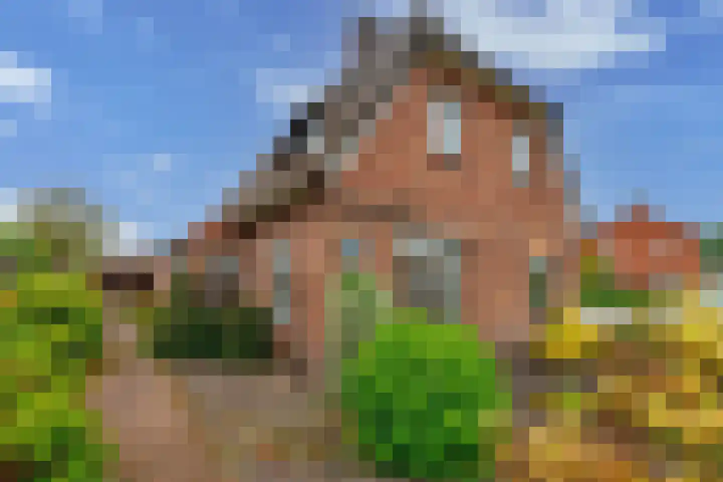 Molenstraat 16 Den Ham thumbnail 4