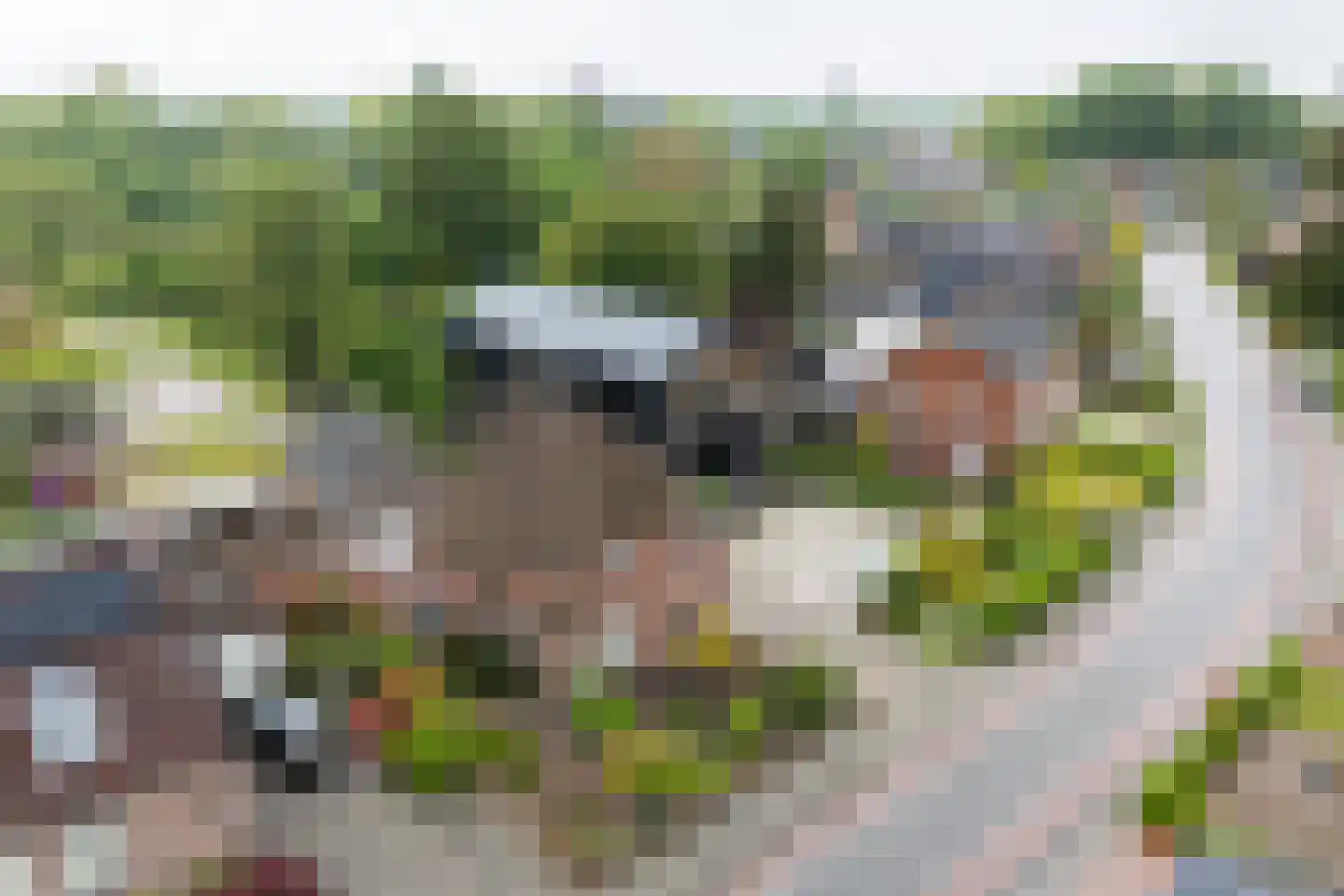 Molenstraat 16 Den Ham thumbnail 6