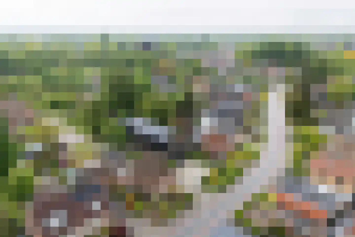 Molenstraat 16 Den Ham thumbnail 7