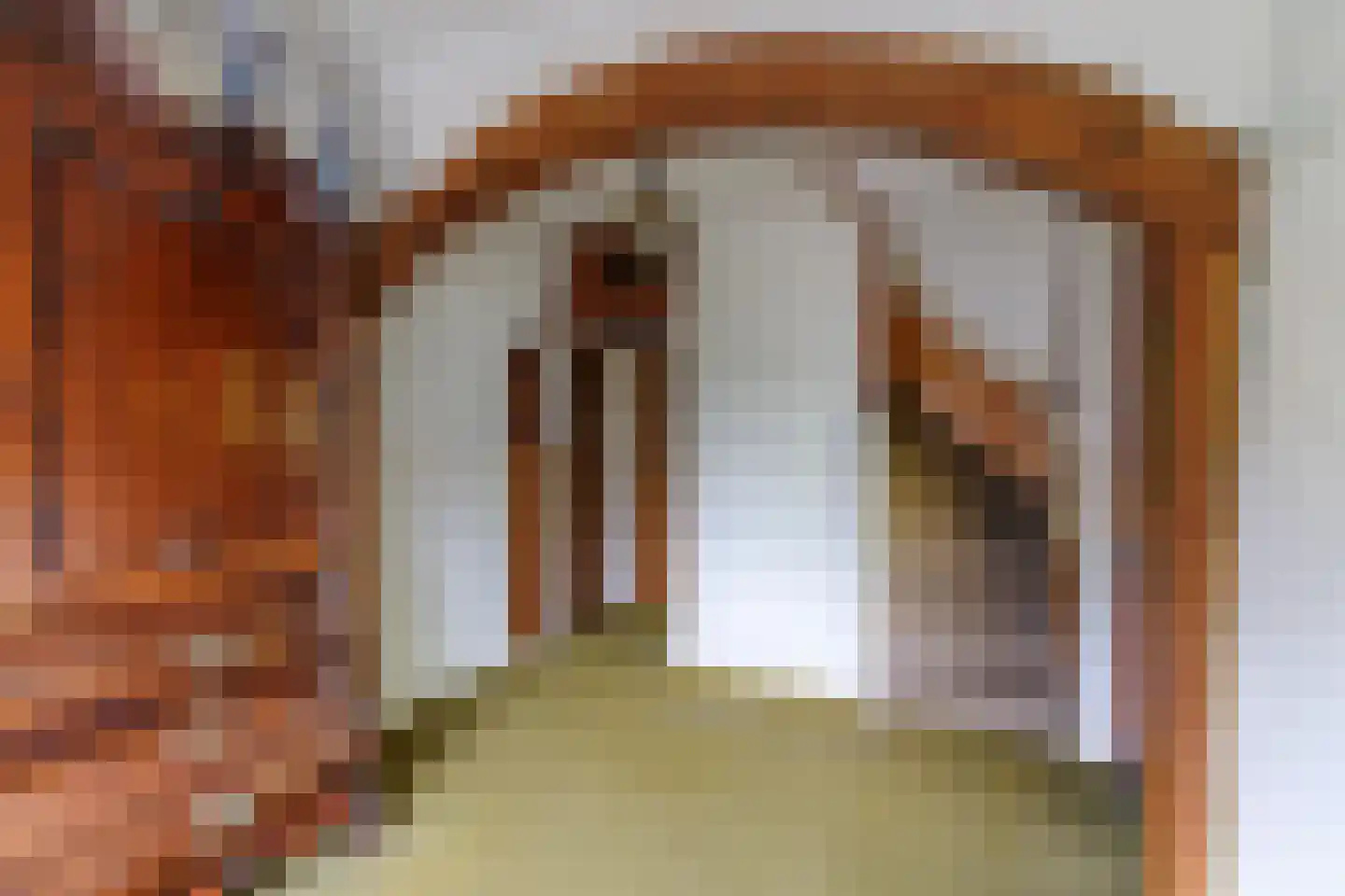 Molenstraat 16 Den Ham thumbnail 8