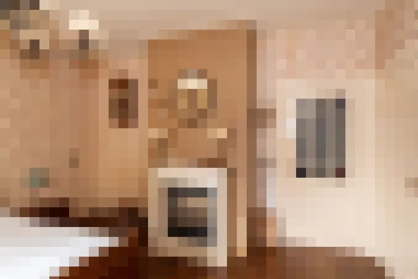 Molenstraat 16 Rijssen thumbnail 21