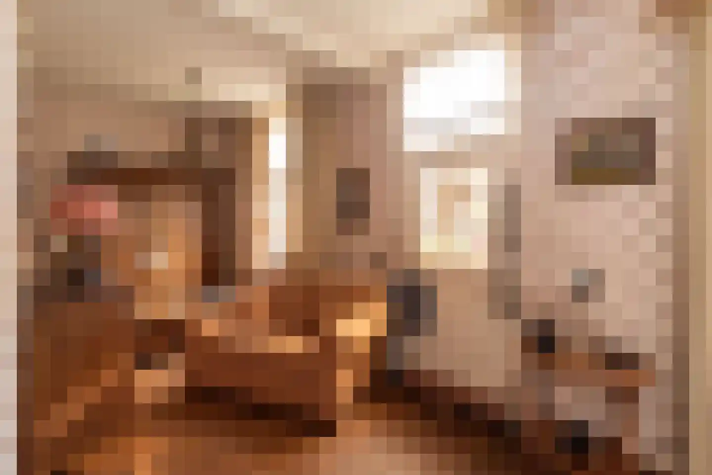Molenstraat 16 Rijssen thumbnail 23