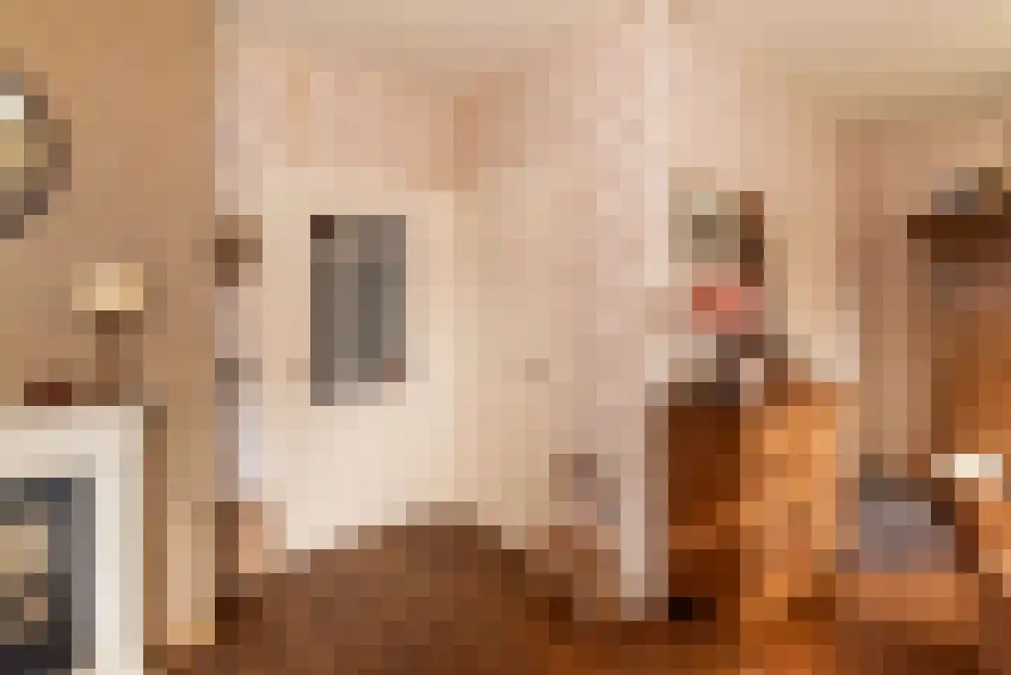 Molenstraat 16 Rijssen thumbnail 26
