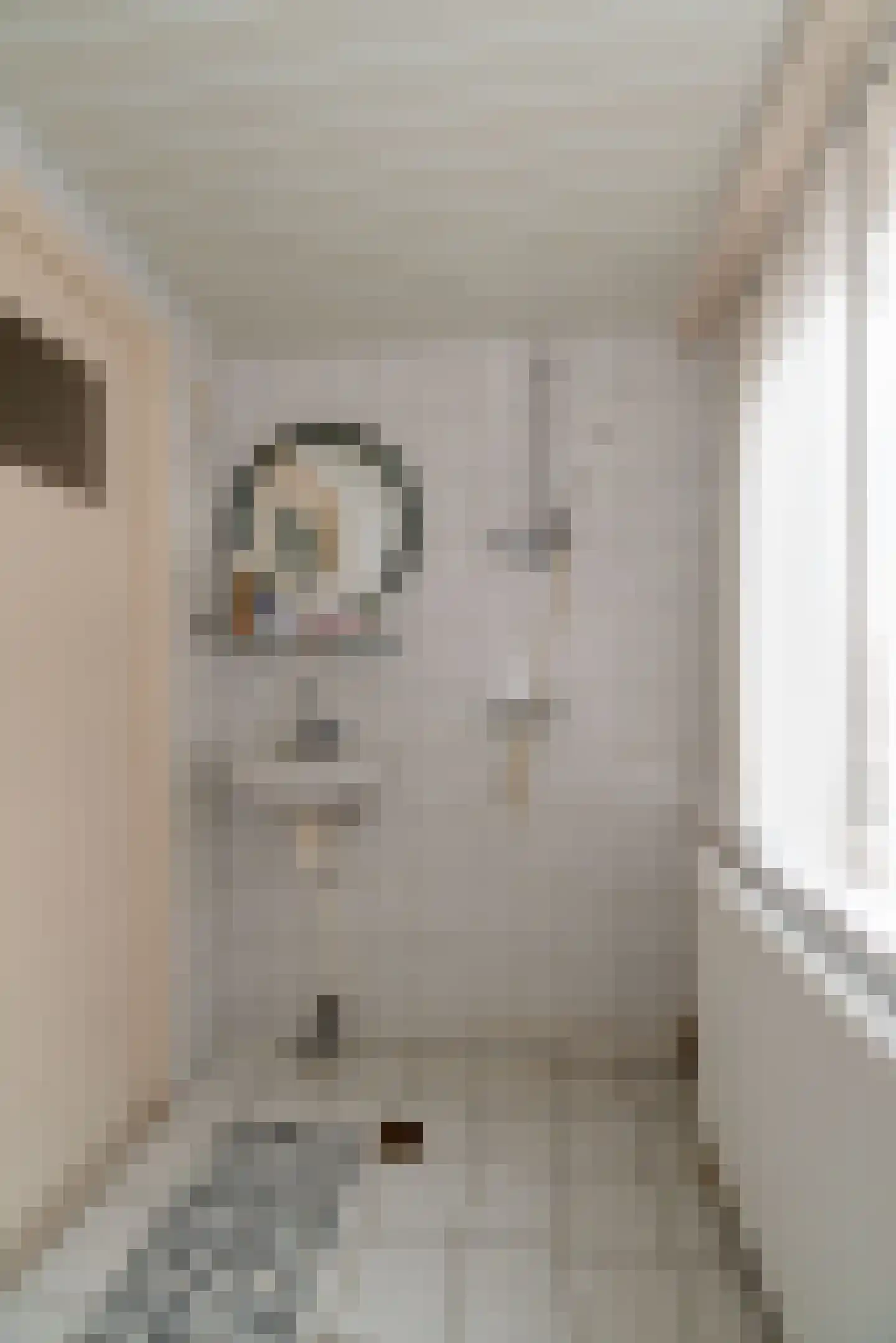 Molenstraat 16 Rijssen thumbnail 32