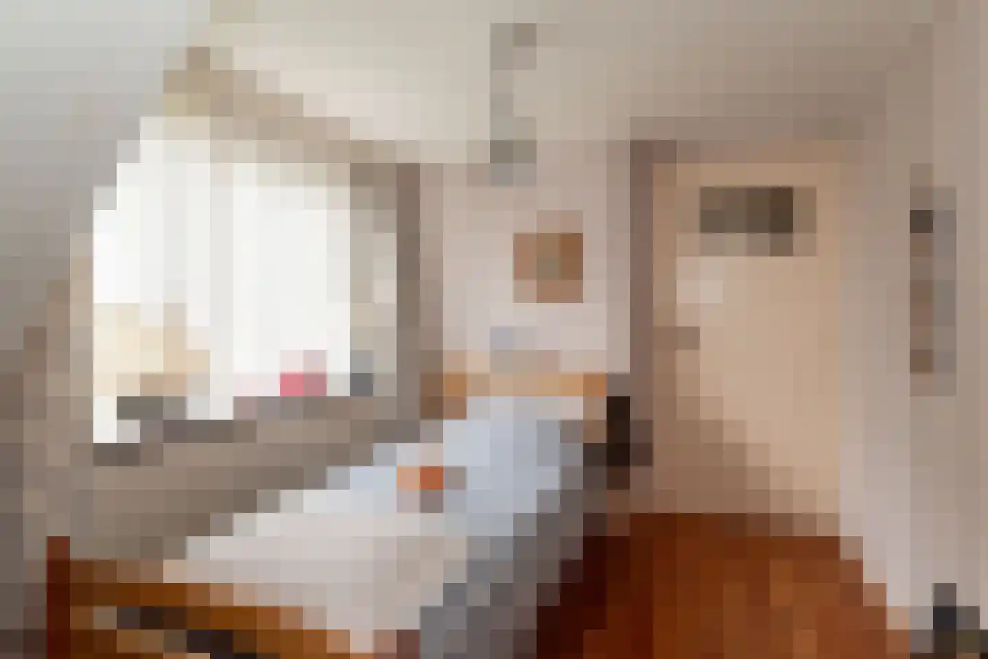 Molenstraat 16 Rijssen thumbnail 35