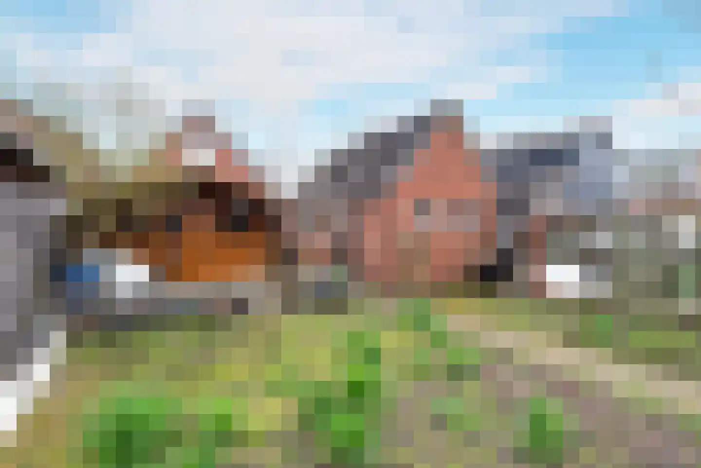 Molenstraat 16 Rijssen thumbnail 37