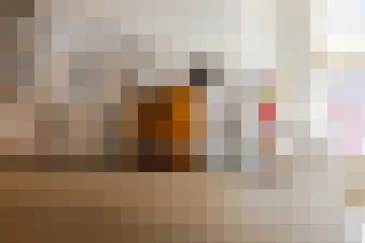 Molenstraat 16 Schoonhoven thumbnail 10