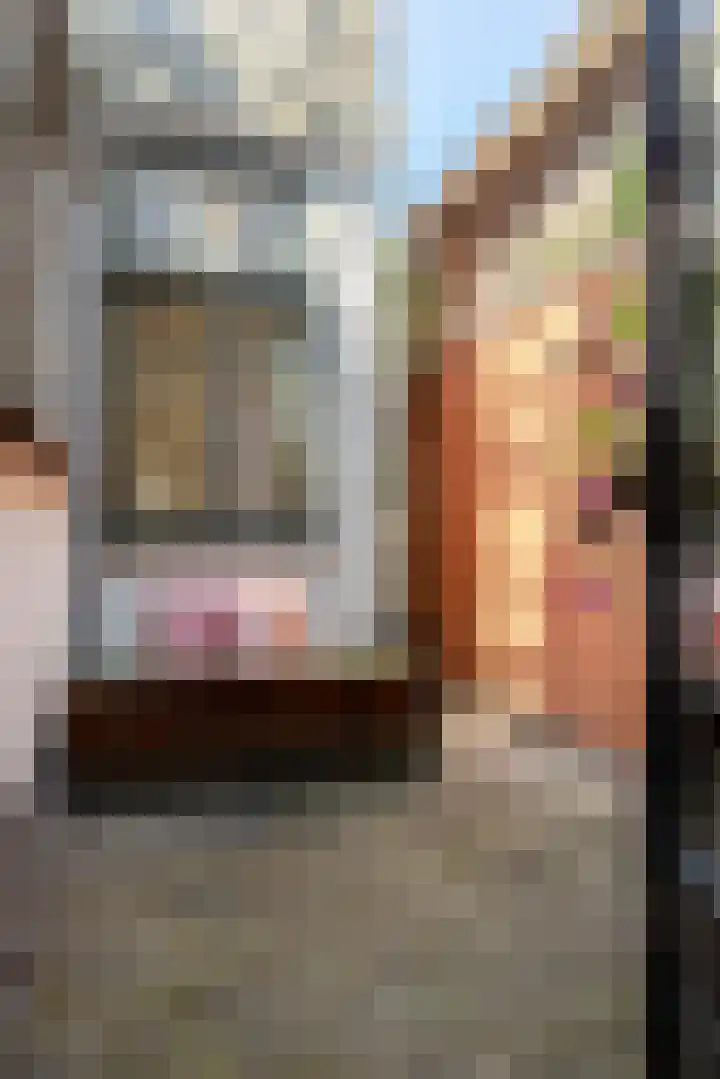 Molenstraat 16 Schoonhoven thumbnail 18