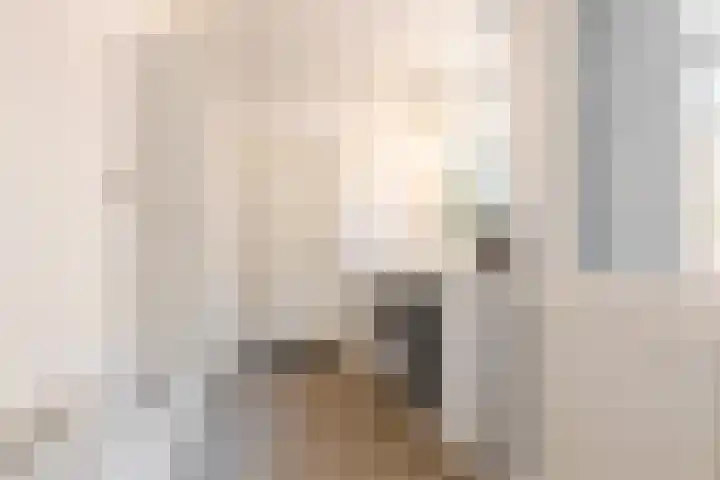 Molenstraat 16 Schoonhoven thumbnail 21