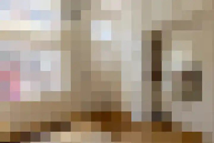 Molenstraat 16 Schoonhoven thumbnail 4