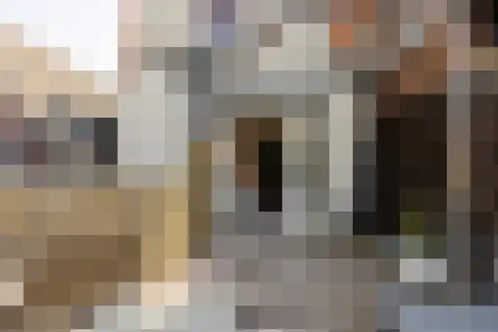 Molenstraat 16 Schoonhoven thumbnail 42