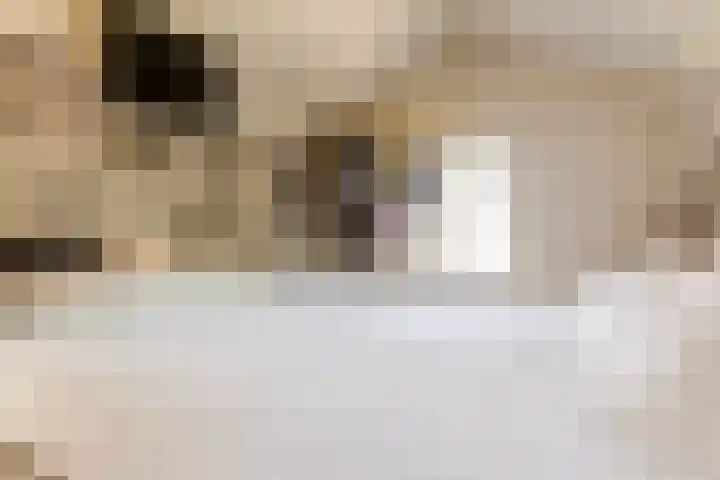 Molenstraat 16 Schoonhoven thumbnail 51
