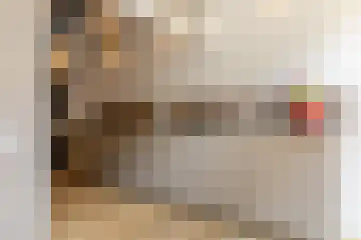 Molenstraat 16 Schoonhoven thumbnail 8