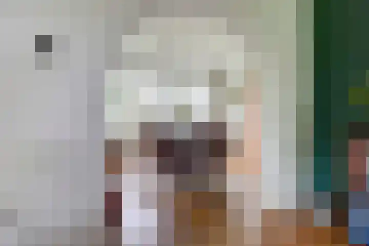 Molenstraat 16 Swolgen thumbnail 17