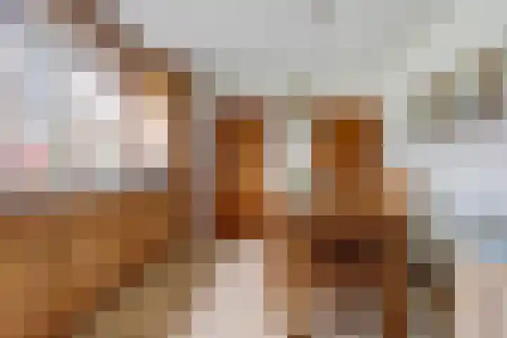 Molenstraat 16 Swolgen thumbnail 18
