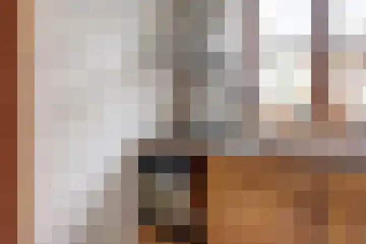 Molenstraat 16 Swolgen thumbnail 21