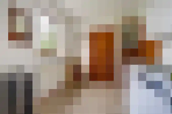 Molenstraat 16 Swolgen thumbnail 23