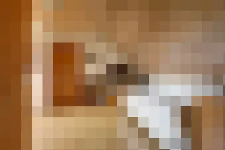 Molenstraat 16 Swolgen thumbnail 33