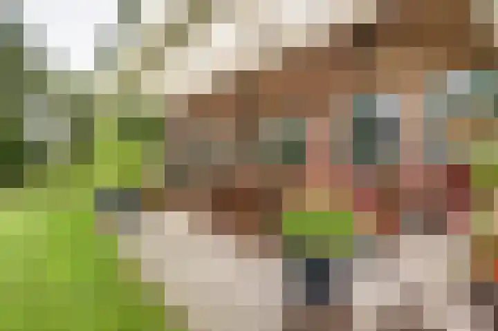 Molenstraat 16 Swolgen thumbnail 43