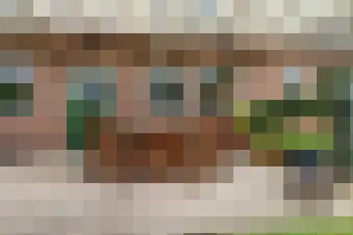 Molenstraat 16 Swolgen thumbnail 44