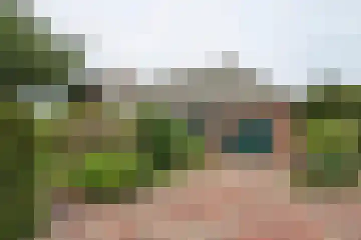 Molenstraat 16 Swolgen thumbnail 5