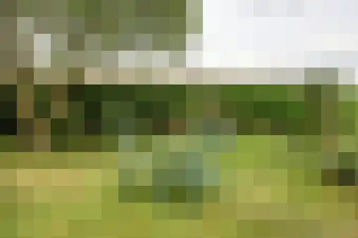 Molenstraat 16 Swolgen thumbnail 51
