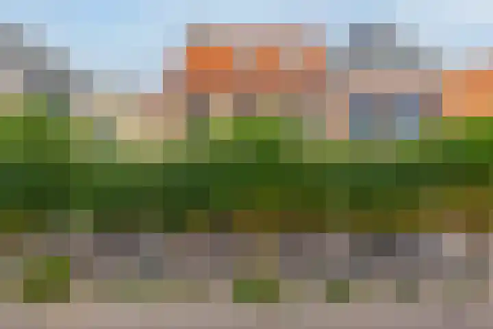 Molenstraat 16 Zevenbergen thumbnail 66