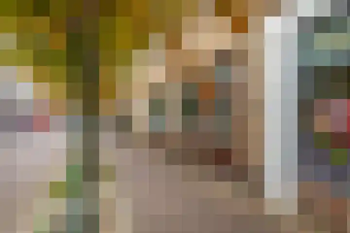 Molenstraat 16 Zevenbergen thumbnail 8