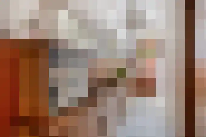 Molenstraat 16 Zevenbergen thumbnail 9