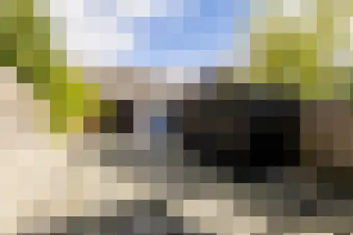 Molenstraat 169 Assen thumbnail 43