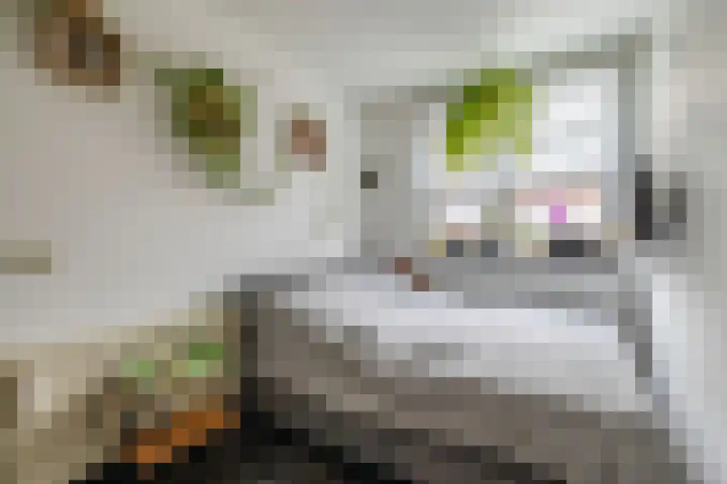 Molenstraat 169 Helmond thumbnail 21