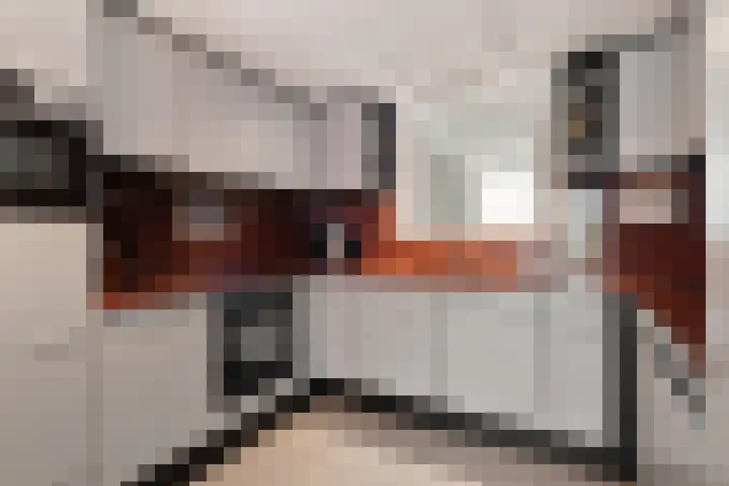 Molenstraat 169 Oss thumbnail 12