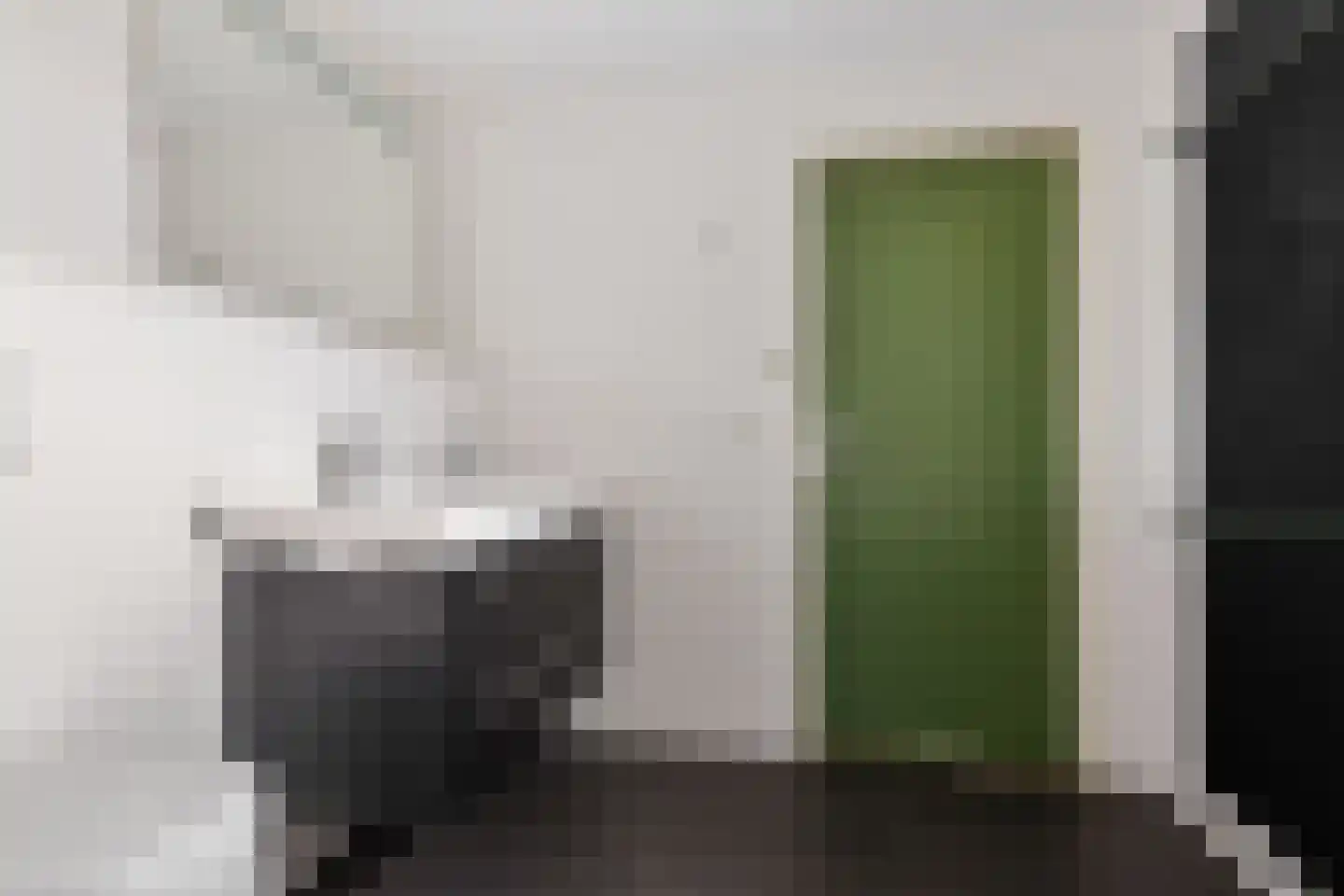 Molenstraat 169 Oss thumbnail 19