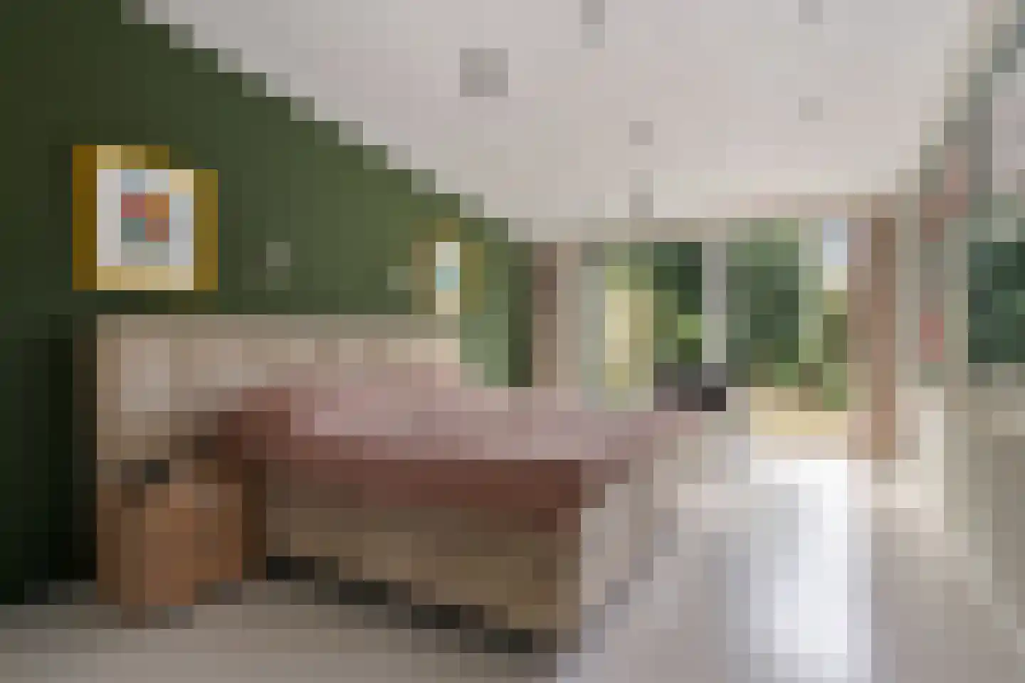 Molenstraat 169 Oss thumbnail 22