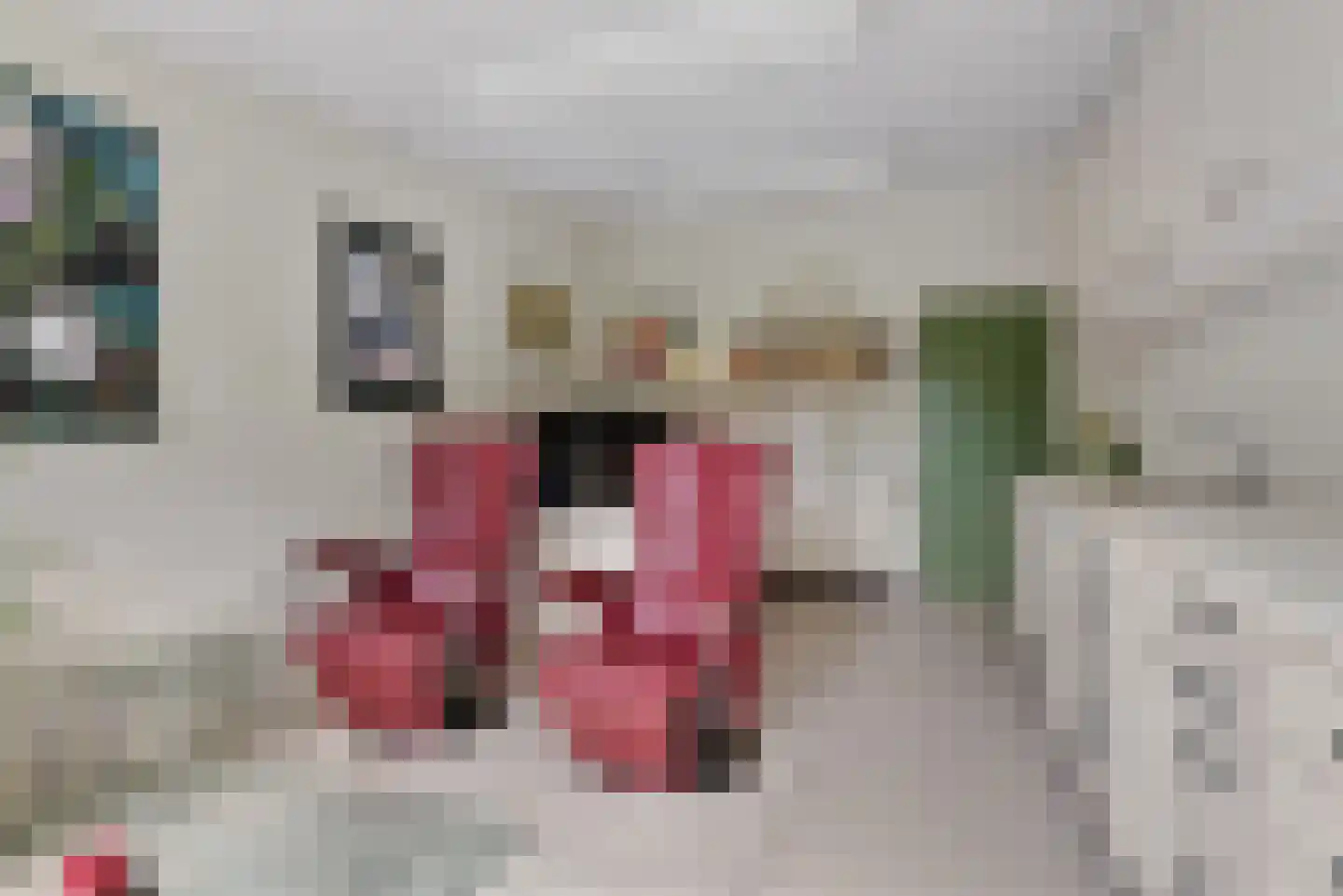 Molenstraat 169 Oss thumbnail 24