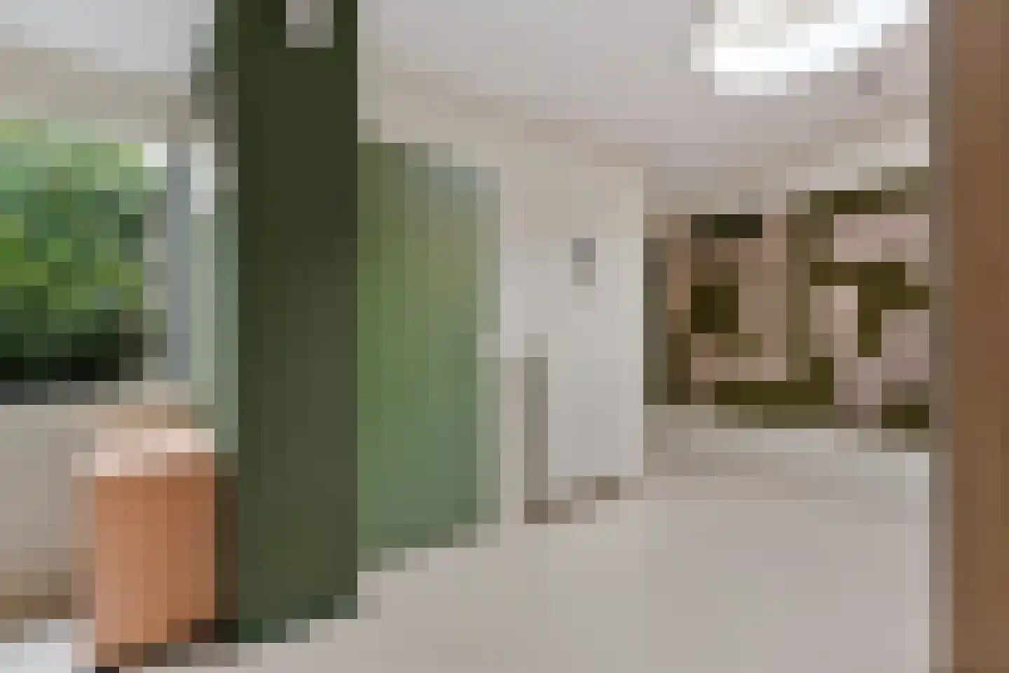 Molenstraat 169 Oss thumbnail 26