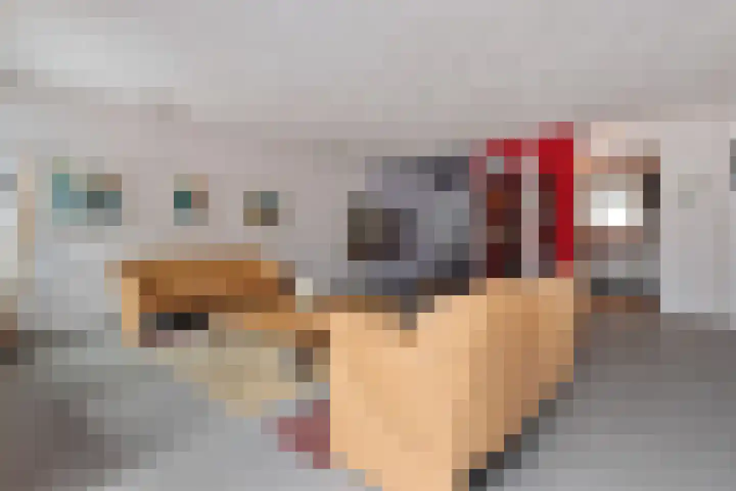 Molenstraat 169 Oss thumbnail 6
