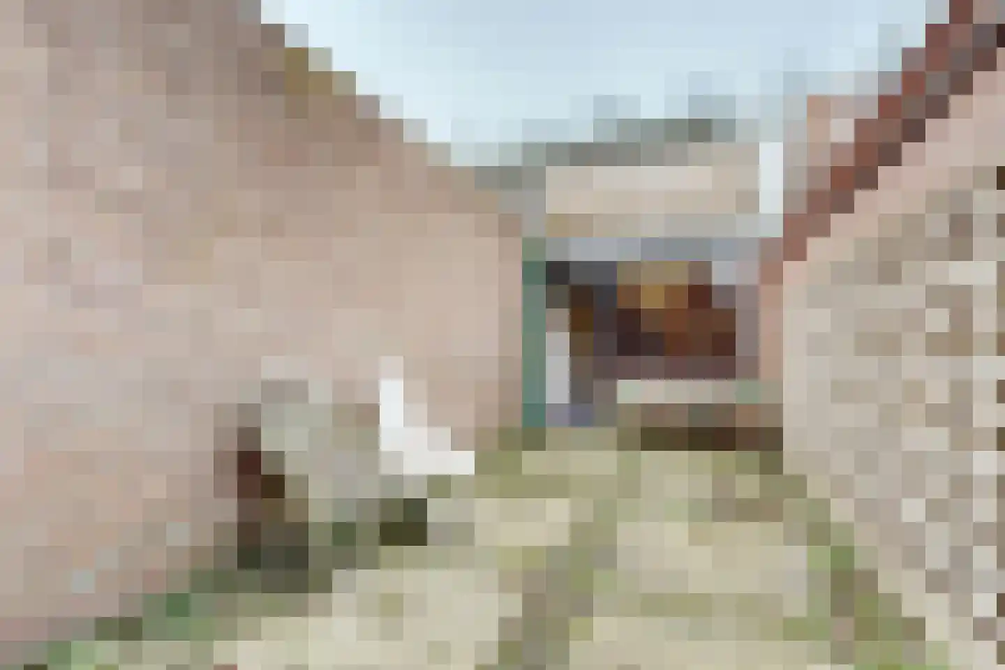 Molenstraat 17 a Klundert thumbnail 37