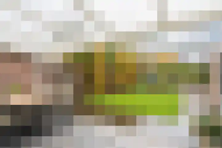 Molenstraat 17 Aarle-Rixtel thumbnail 7
