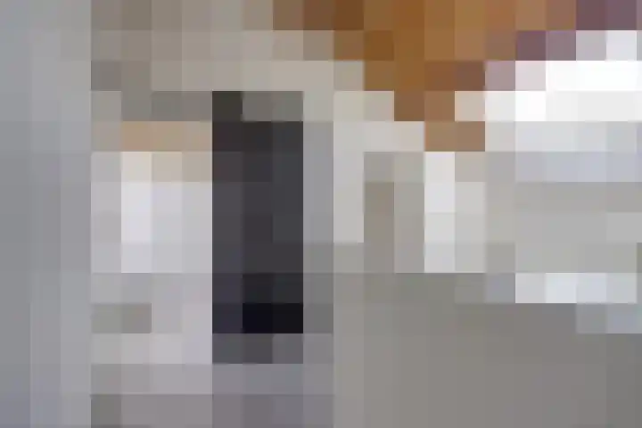 Molenstraat 17 Beugen thumbnail 25