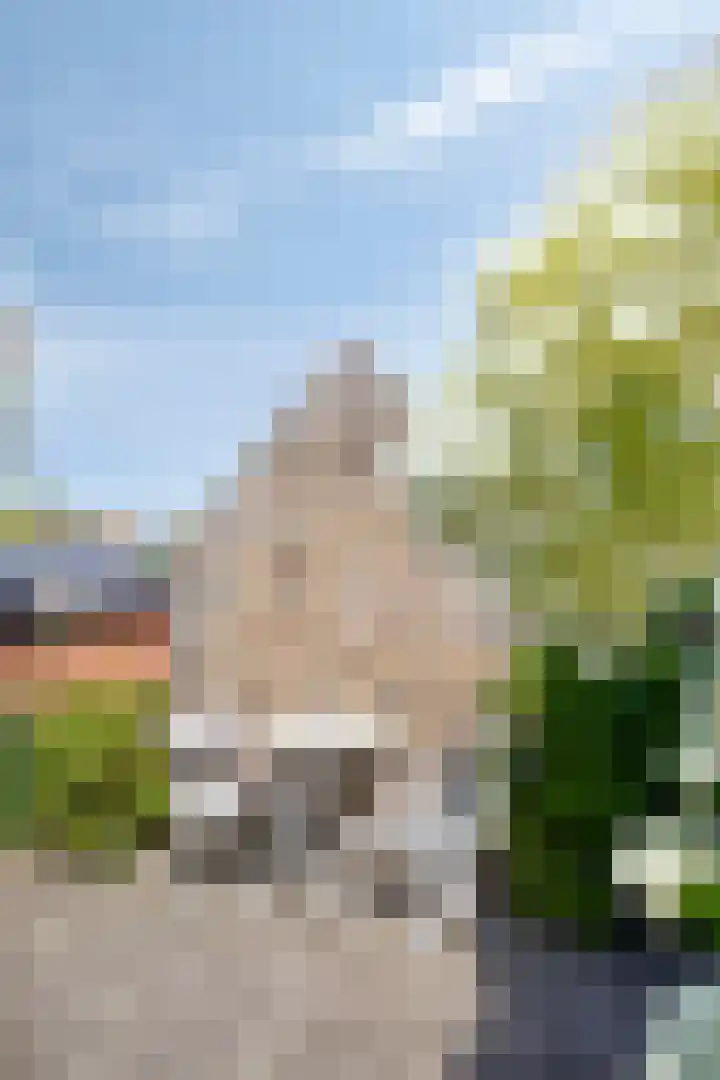 Molenstraat 17 Brouwershaven thumbnail 29