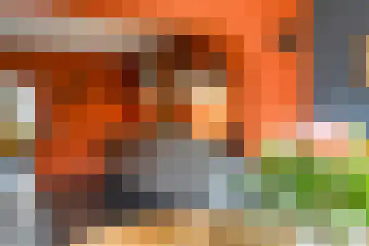 Molenstraat 17 Bruinisse thumbnail 11