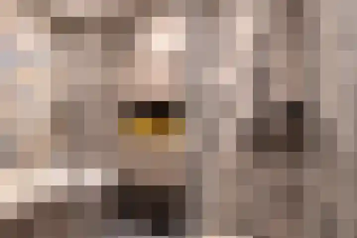 Molenstraat 17 Bruinisse thumbnail 14